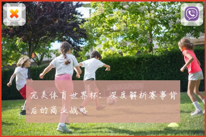完美体育世界杯:深度解析赛事背后的商业战略